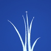 上向き空中開花