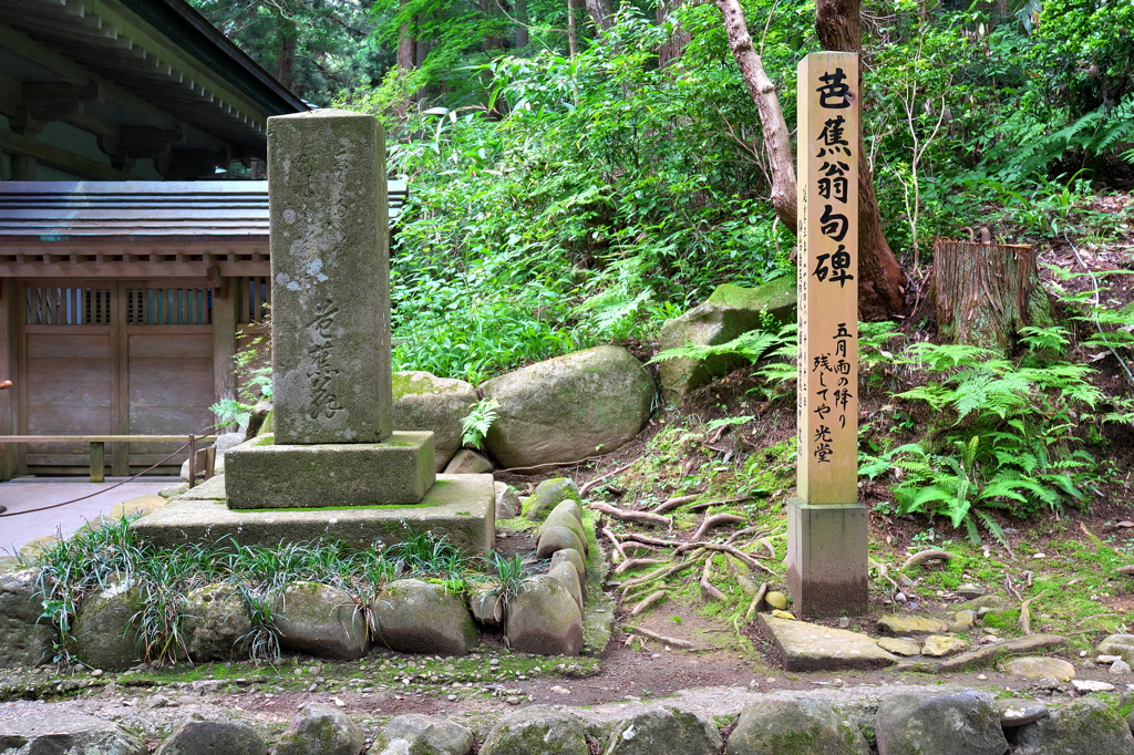 五月雨の降り残してや光堂