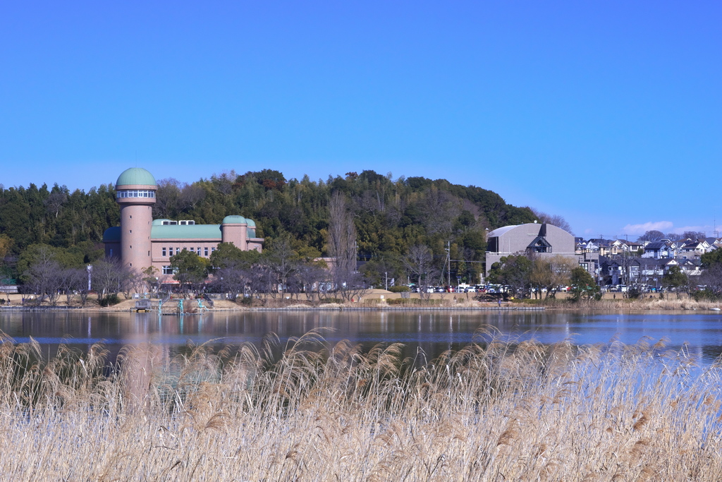 水の館と鳥の博物館