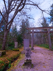 戸隠神社奥社大鳥居