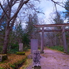 戸隠神社奥社大鳥居