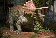 Triceratops-robot