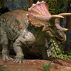 Triceratops-robot