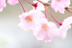やさしく癒して