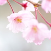 やさしく癒して