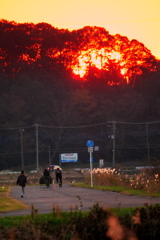 手賀沼サイクリングロードの日没