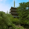 五重塔と紫陽花