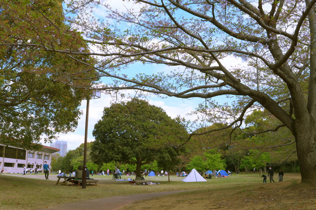 お昼は公園で