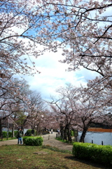 不忍池の通りぬけ