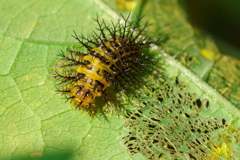 怖ーい；￣ロ￣）！！