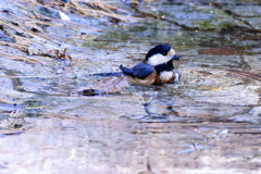 こっちがいいよね(^^♪