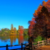 初冬の水辺公園