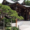 五葉の松と出水神社