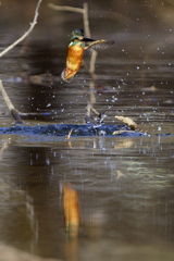 今年一年ありがとうございました