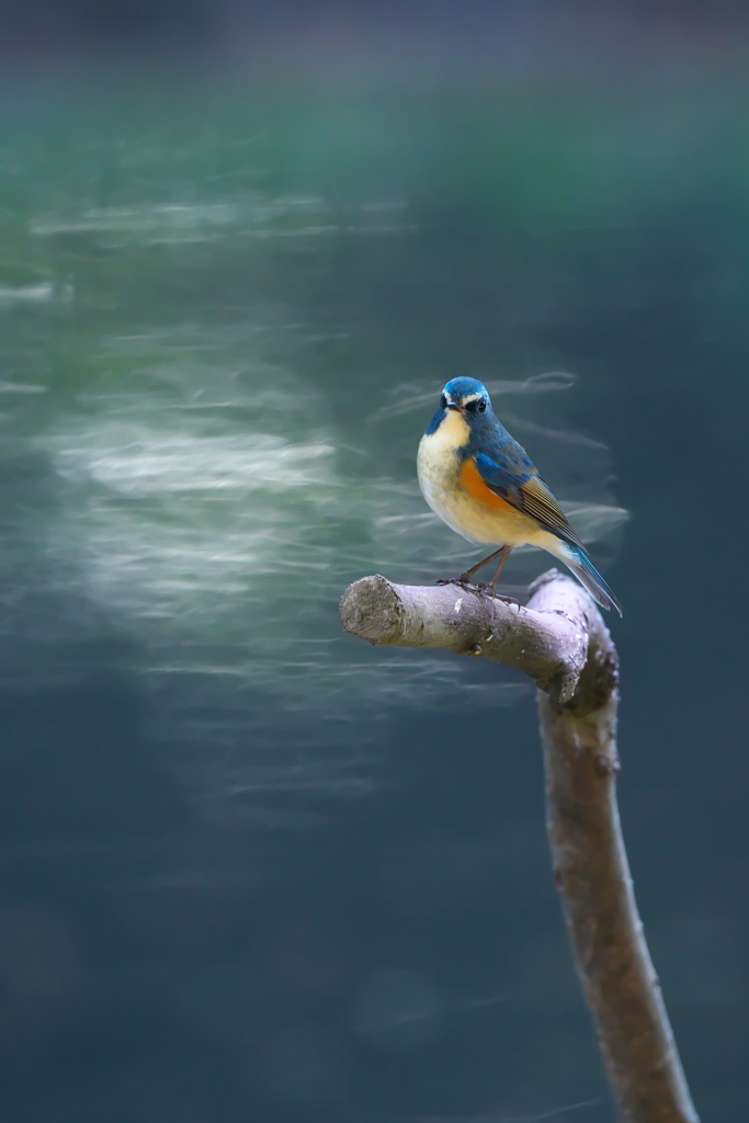 つまんないおやじ達ね