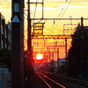 家路