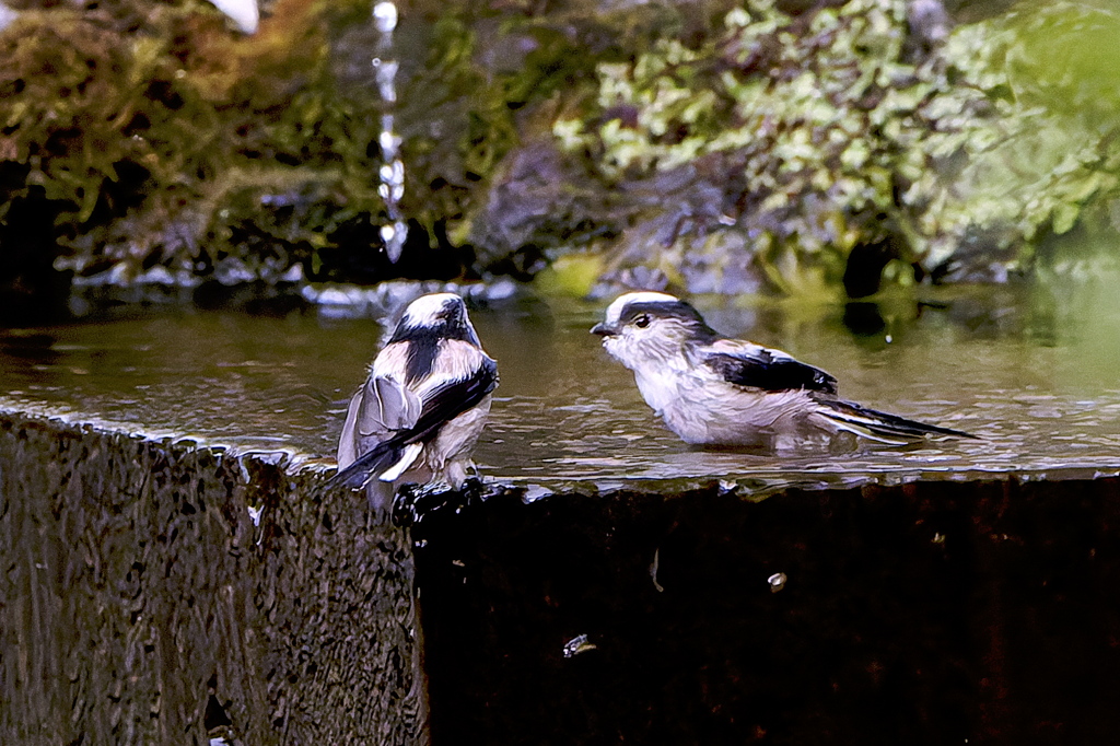 気持ちいいよね！