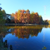 Autumn, reflection on the water