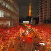 Illuminations by 1 million led