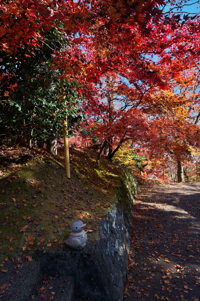 あひるの小路