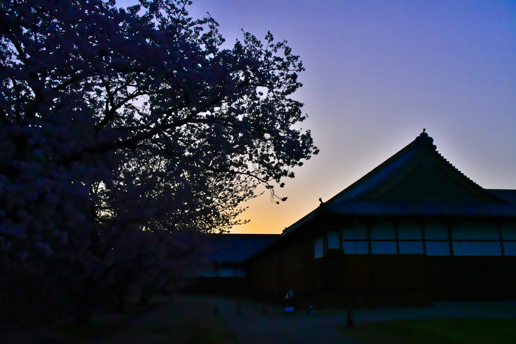 城郭の夜明け