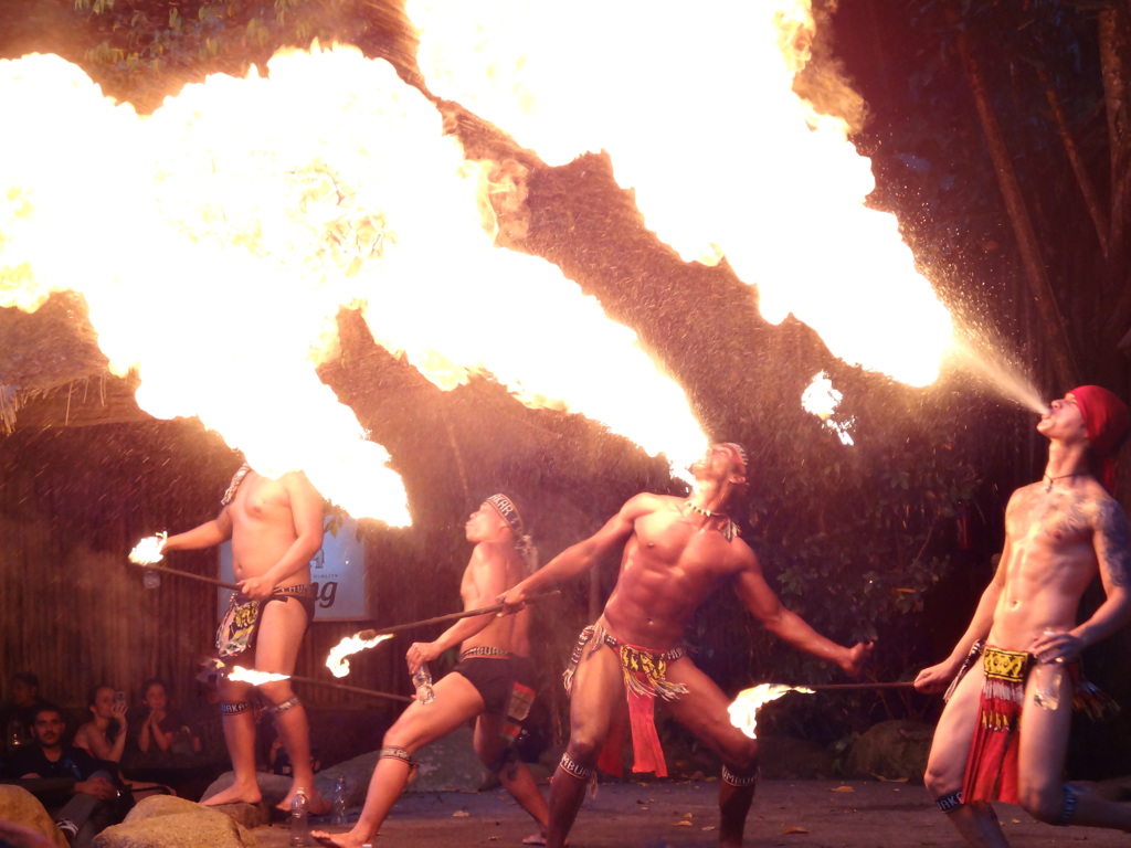 ナイト・サファリのショー