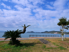 宮津海遊公園からの島原湾