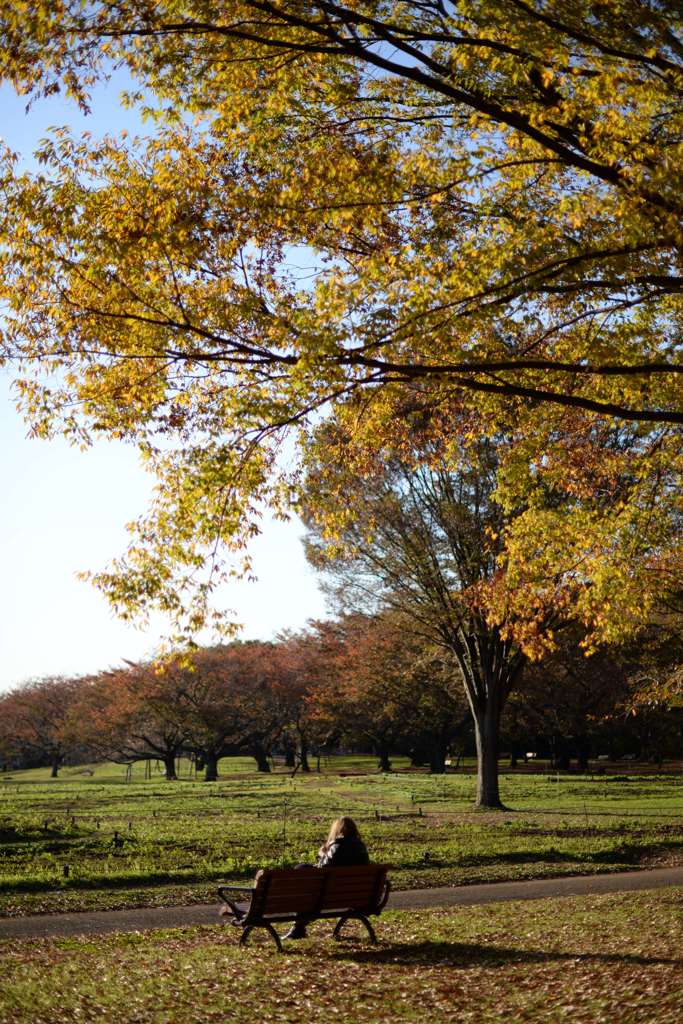 Reading in the autumn dusk