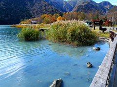 湯ノ湖温泉湧出地