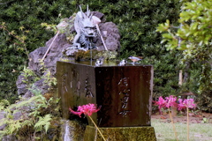 龍神様の庇護のもと