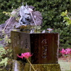 龍神様の庇護のもと