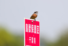 分かってるよね(^^♪