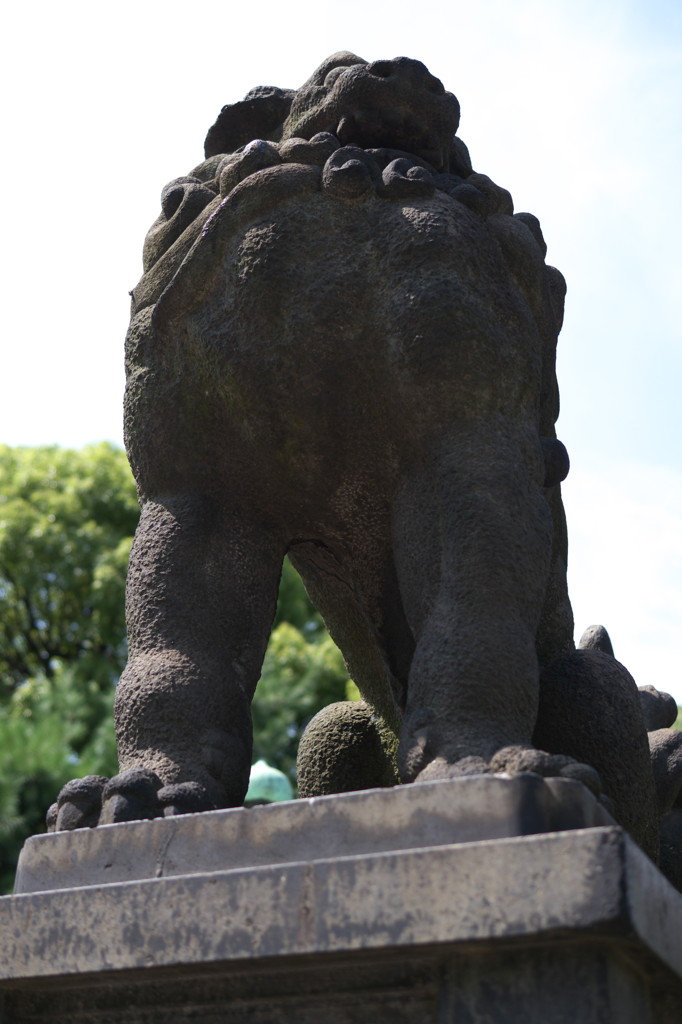 上野公園⑪
