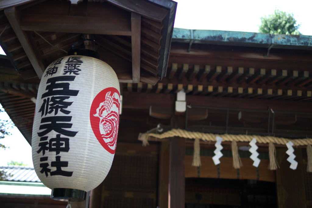 上野公園⑦