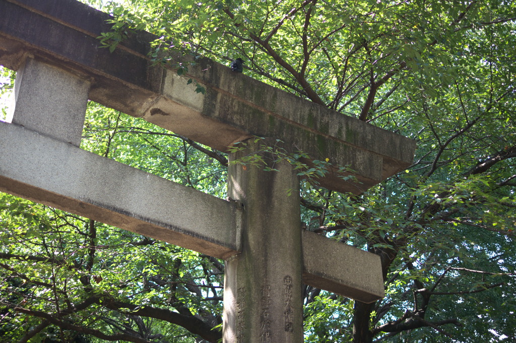 上野公園⑬