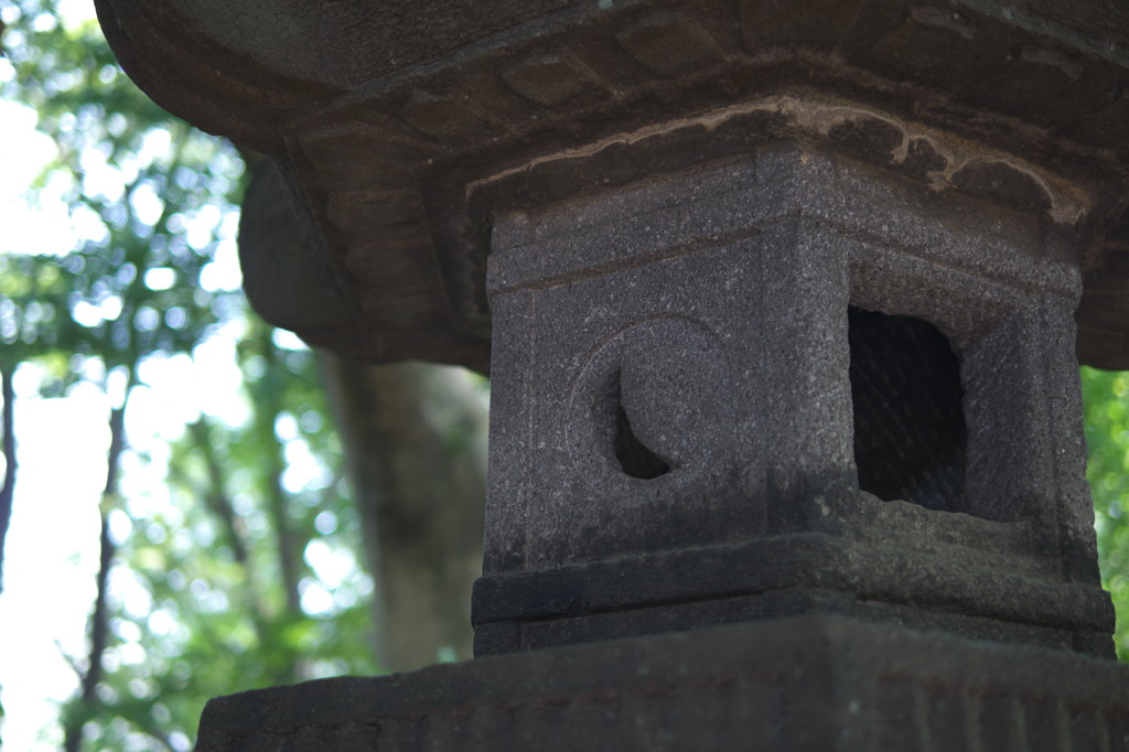 上野公園⑫