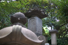 上野公園⑱