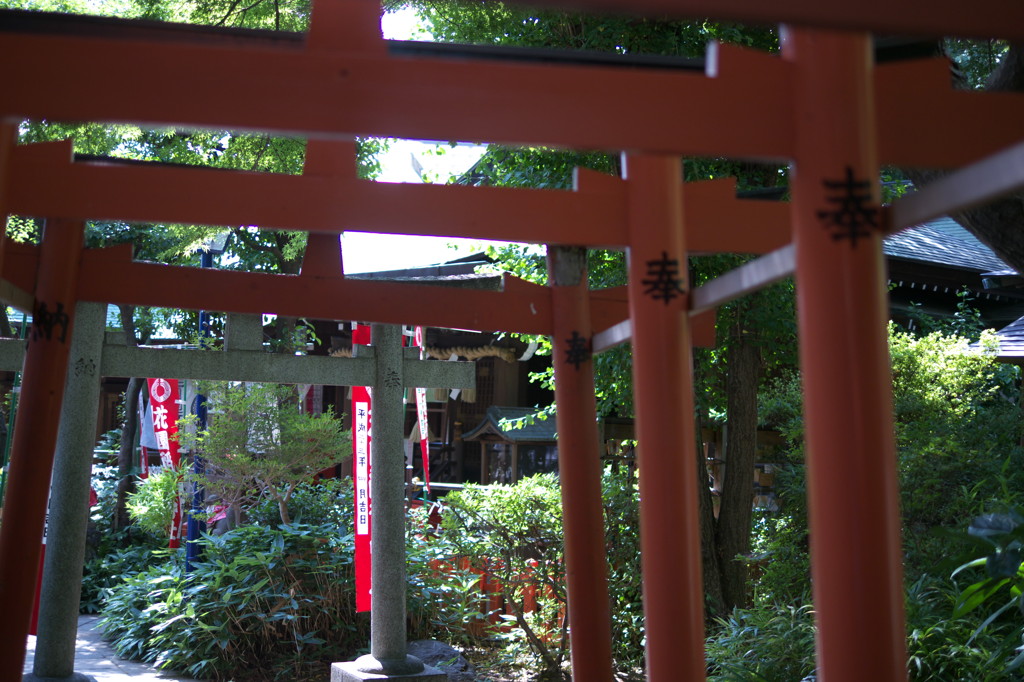 上野公園③