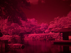 元画像