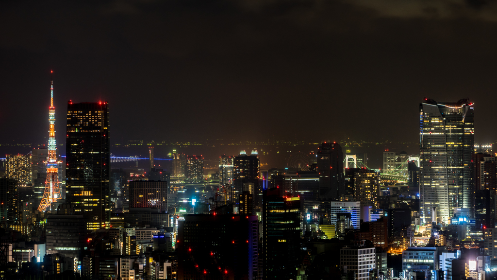 僕らの音楽