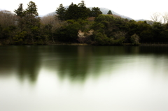 湖畔に咲く桜