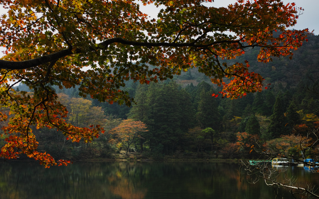 湖畔にて　秋