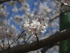 まとまった