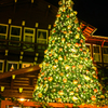 少し早いクリスマスツリー
