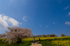 抜けるような青空