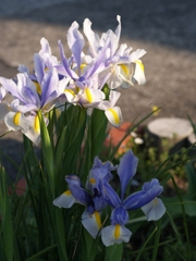 P4140305
