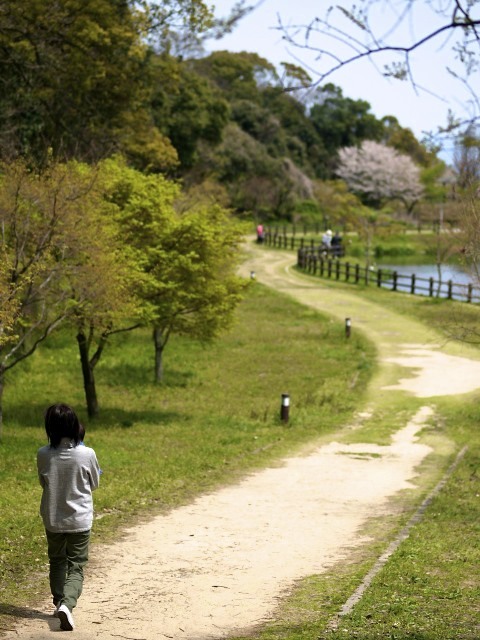 春を探して