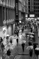 rainy walk