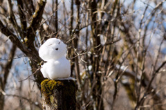 誰かが作った雪だるま
