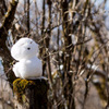 誰かが作った雪だるま